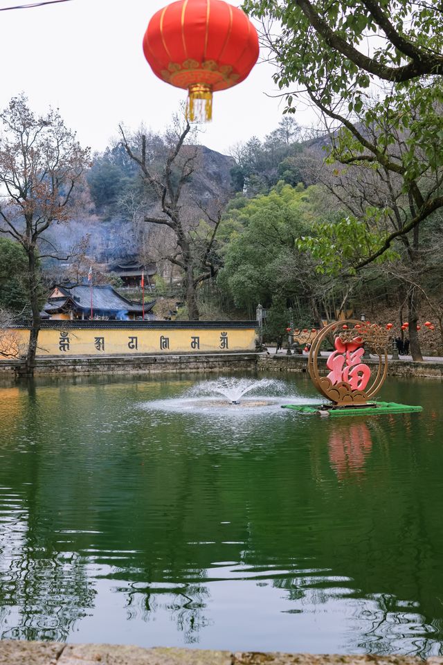新昌大佛寺|賞花燈，遊古寺，邂逅一場禪意與美景