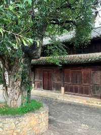 寒假暢遊紅河-曲靖-玉溪 超詳細攻略來襲
