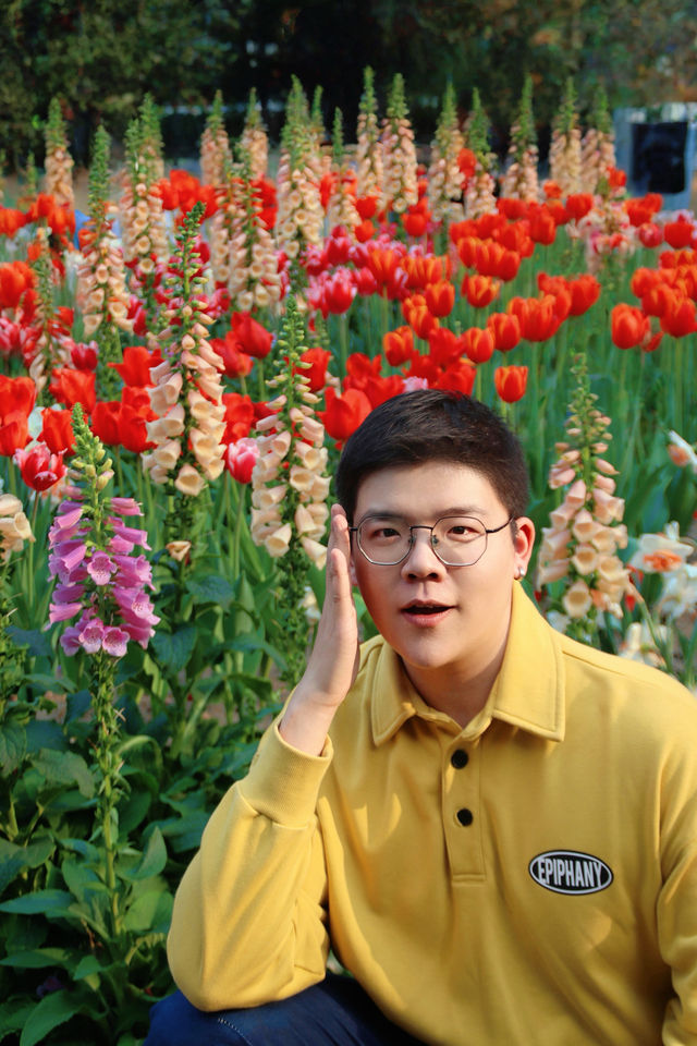仙湖植物園鬱金香展弘法寺福卡上新