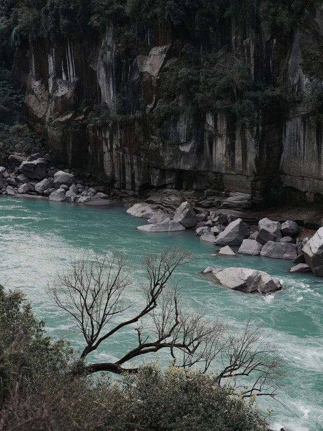 雲南3月最美的地方