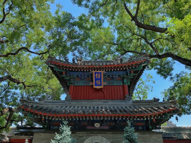 廣濟寺—綠蔭濃濃，古寺森森