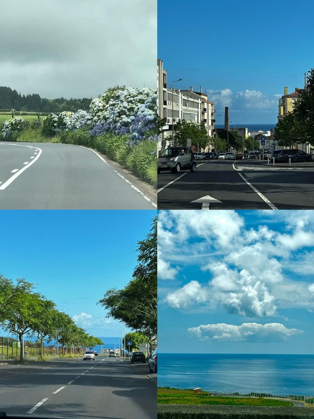 聖米格爾島：大西洋上的神秘花園