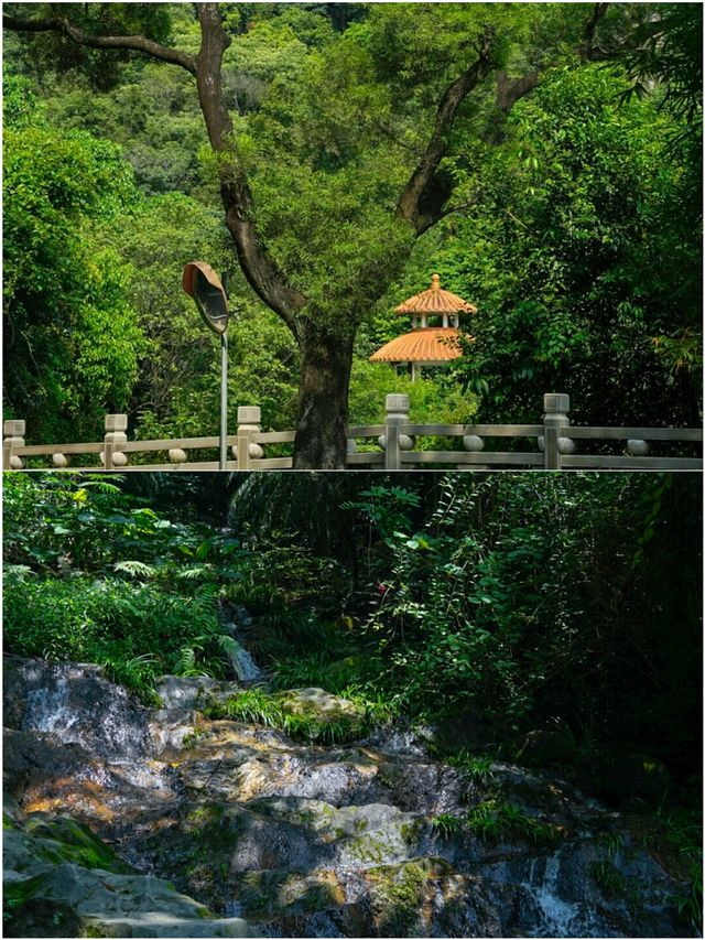 廣州白雲山 超全遊玩指南