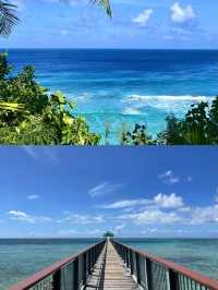 關島潛水之旅：探索海底天堂