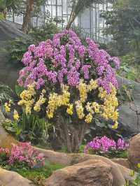 亞洲最大的上海溫室花園