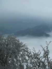 驚爆！龍頭山的美景，竟讓遊客不願返程