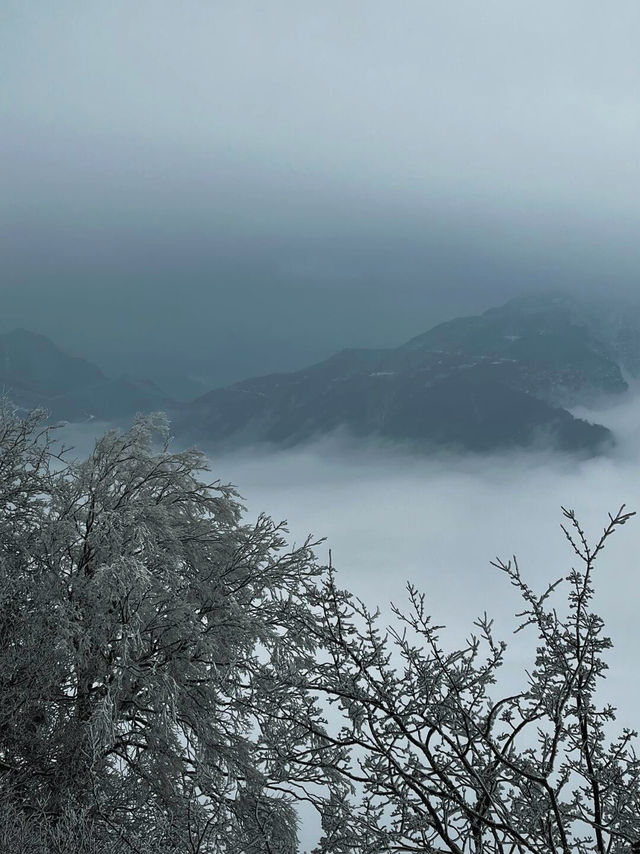 驚爆！龍頭山的美景，竟讓遊客不願返程