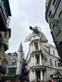 Orlando New Year Disney + Universal Four-Day Five-Park Adventure (Part 2)