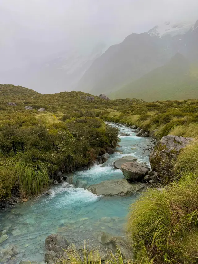 ニュージーランド7日間ツアー 清明節の花見に最適