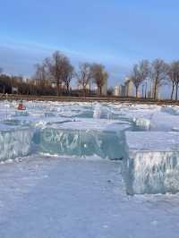 哈爾濱—雪鄉兩日遊 玩轉冰雪世界不踩坑