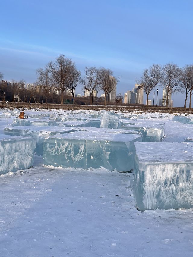 哈爾濱—雪鄉兩日遊 玩轉冰雪世界不踩坑