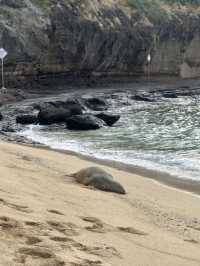 美國7日遊 探秘浪漫植物園不踩雷攻略