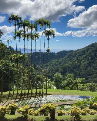 Balata Garden—Martinique's Tropical Paradise 