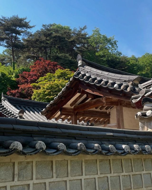 韓國冷門但絕美的小城！安東2天1夜，我找到了韓劇裡的治癒感