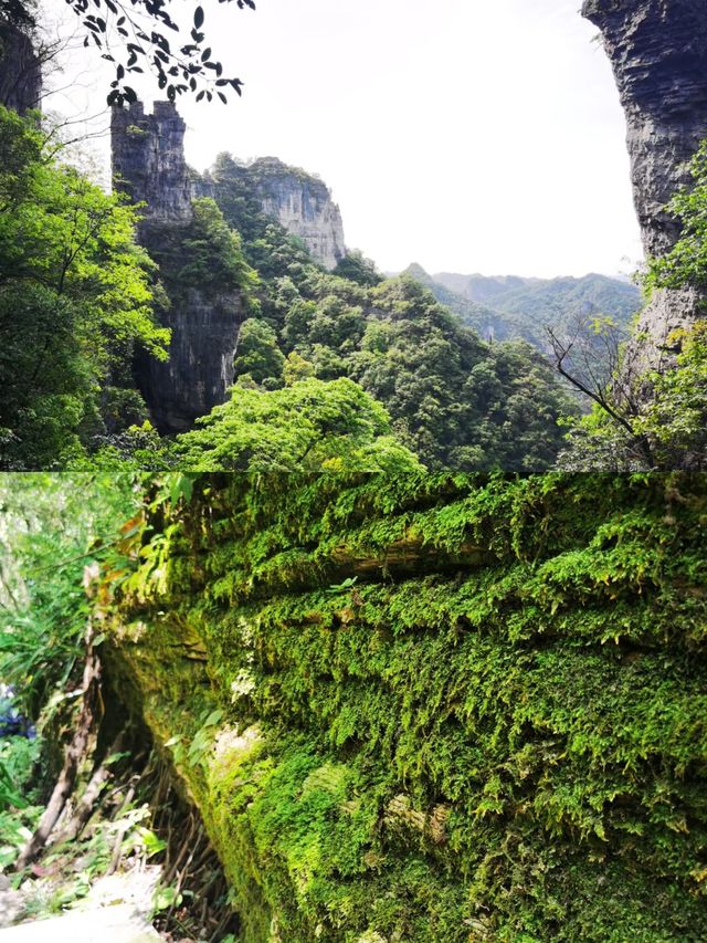 探索貴州雲台山，宛如仙境！