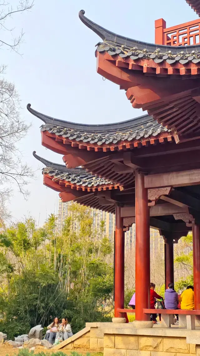 무료! 2025년 우한 제각공원 벚꽃놀이 완벽 가이드!