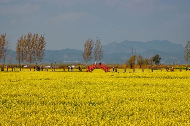 春天嘅滇池沿岸