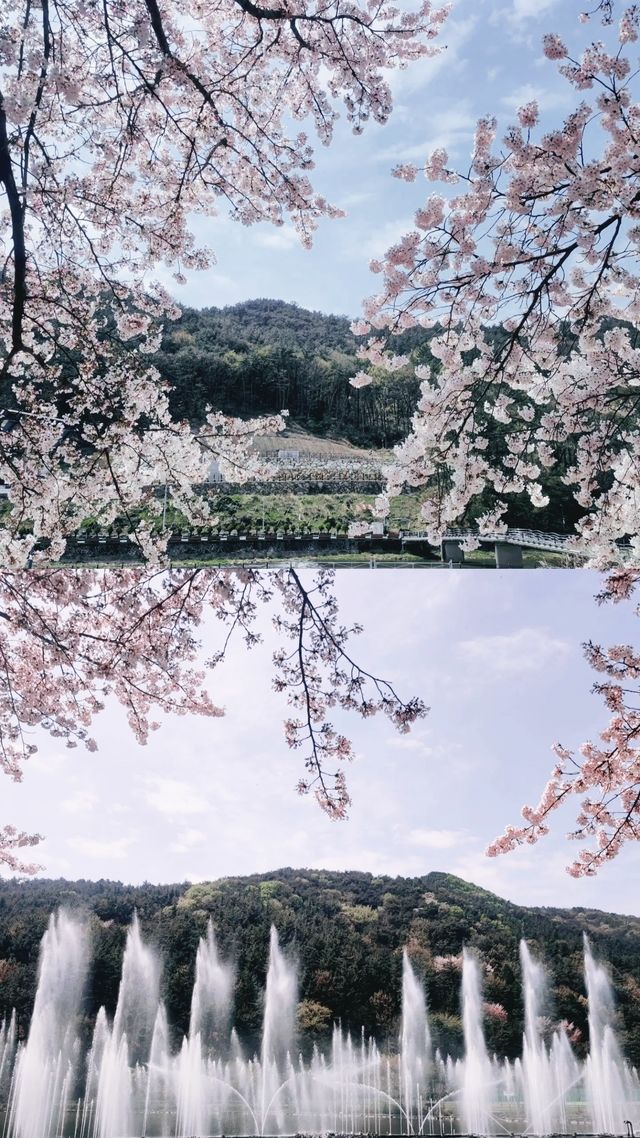 打卡韓國城市＋①