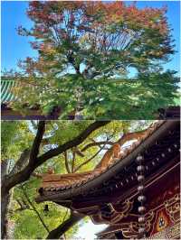 九江玩了3天 說說真心大實話