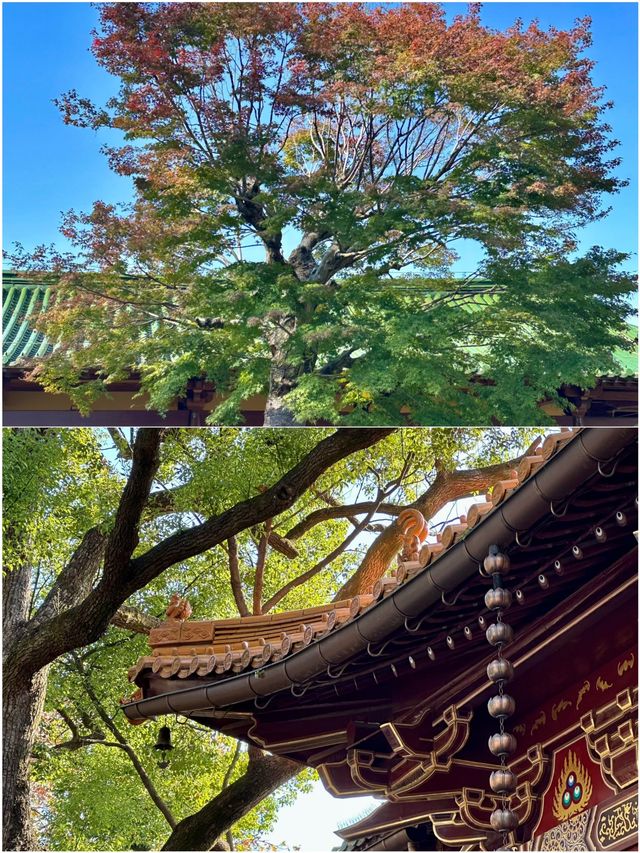 九江玩了3天 說說真心大實話