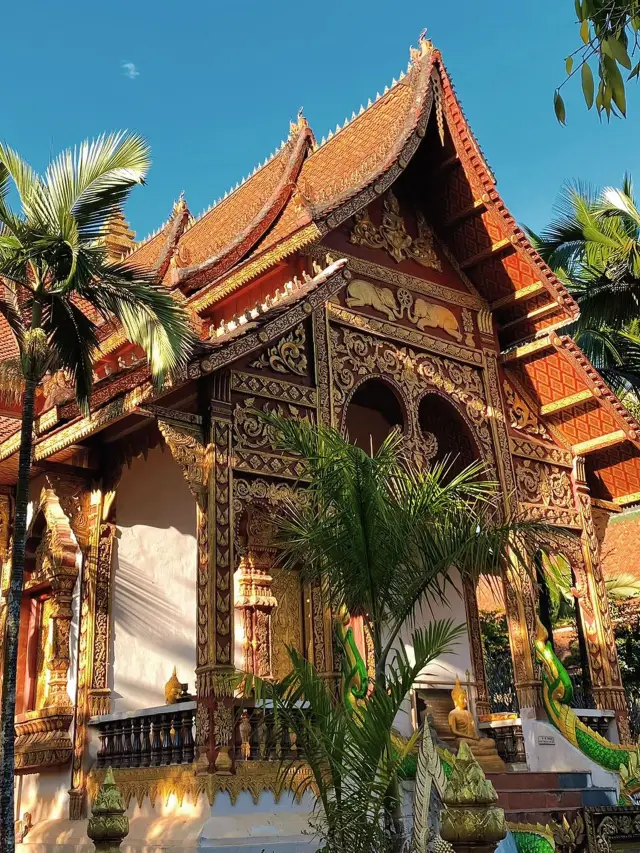 4 วันเที่ยวเมืองเชียงรุ้ง ฉบับสมบูรณ์มาแล้ว