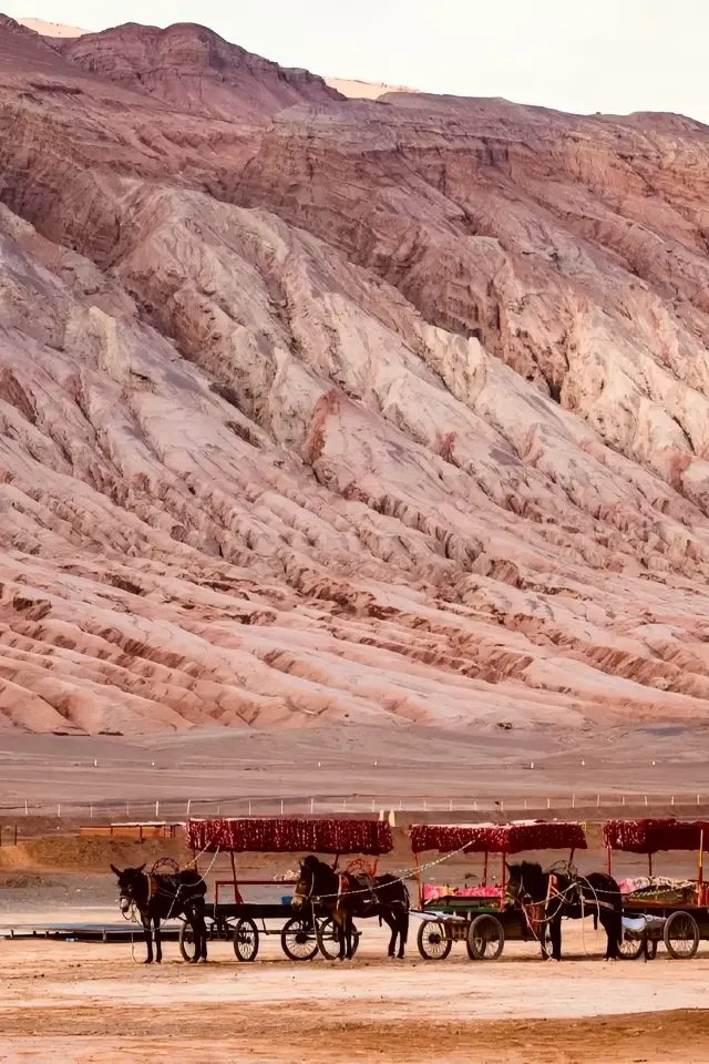 A spring self-drive tour in Turpan, Xinjiang is amazing!