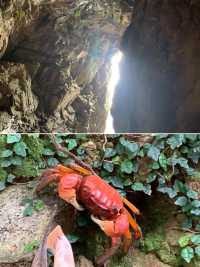 宮崎：和風綺夢，悠然漫遊之旅