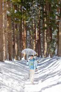 東京近郊｜雪國森林長野兩日遊攻略