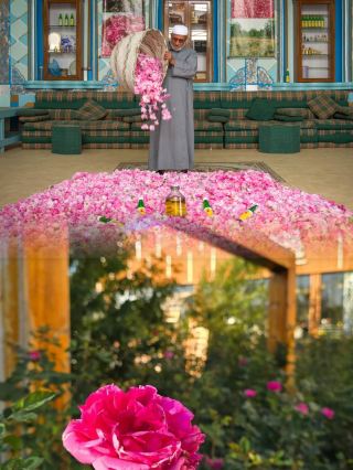 Experience the unique charm of Taif, Saudi Arabia