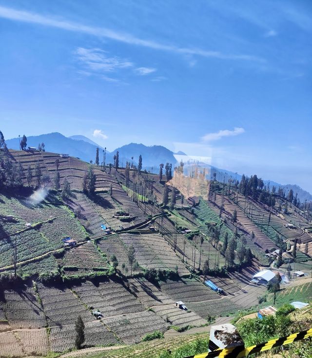 邂逅瑪琅市｜小眾寶藏地的奇妙旅程