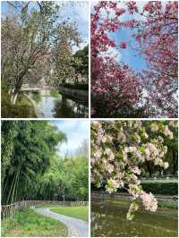 3月莫愁湖公園賞花攻略：邂逅金陵春日繁花
