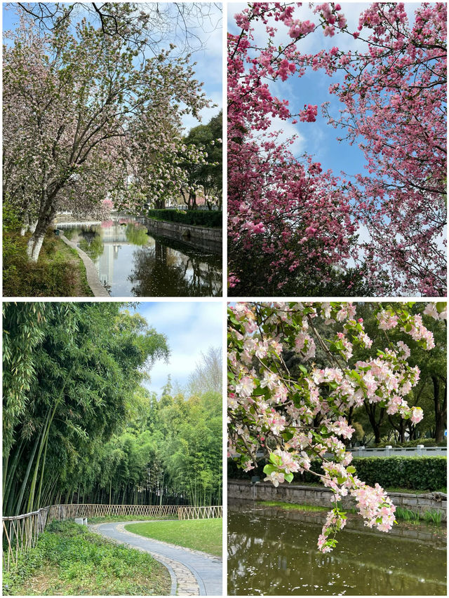 3月莫愁湖公園賞花攻略：邂逅金陵春日繁花