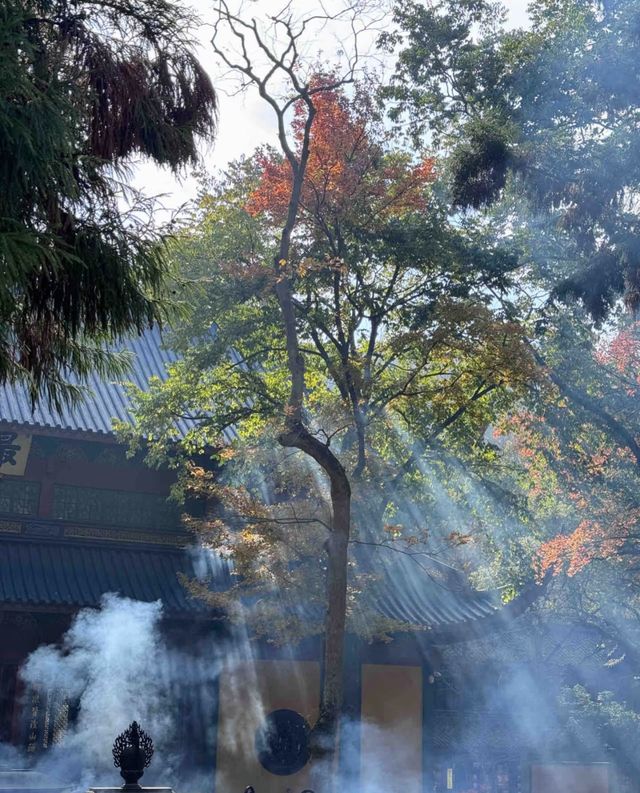 別再瞎逛啦，靈隱寺超詳細路線！！！
