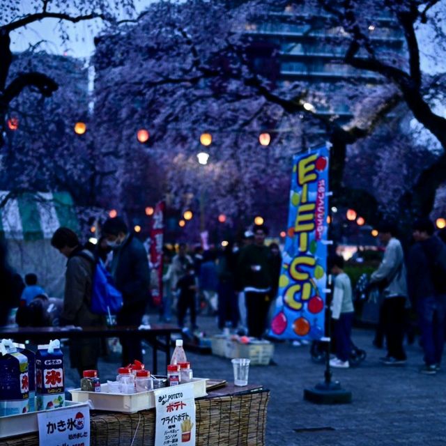 🌃仙台夜櫻，榴岡公園的浪漫時光
