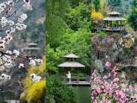 九如山初春賞花親子遊｜帶娃闖入童話山野
