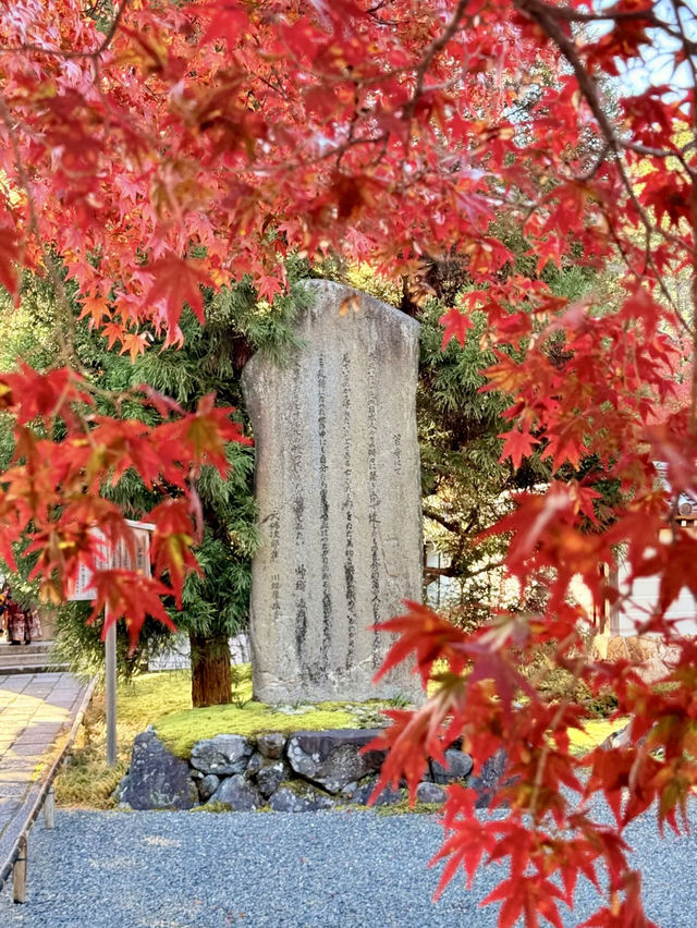 幽靜的時光之旅