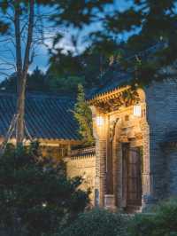 清明私藏路線｜採春茶、住古院、訪古鎮