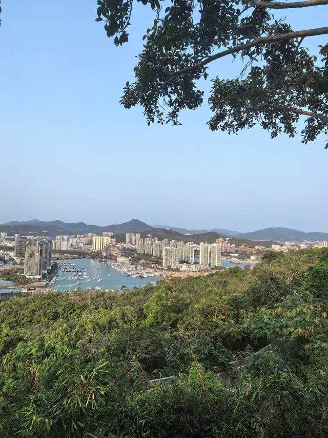 一半是海水，一半是煙火