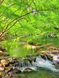 杭州旅遊 | 本地人私藏，避開人潮的寶藏