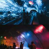 廣州拍照｜藏在廣州正佳極地海洋公園的夢幻海洋世界🐋
