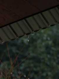 明月松間｜“一場春雨與落花的私奔”