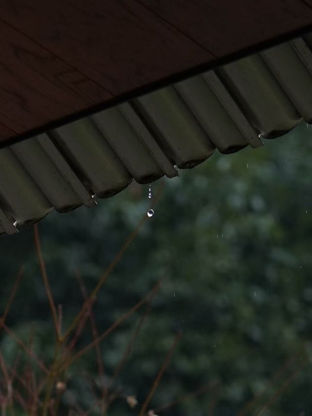 明月松間｜“一場春雨與落花的私奔”