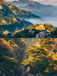 剛從泰山回來，不知當講不當講