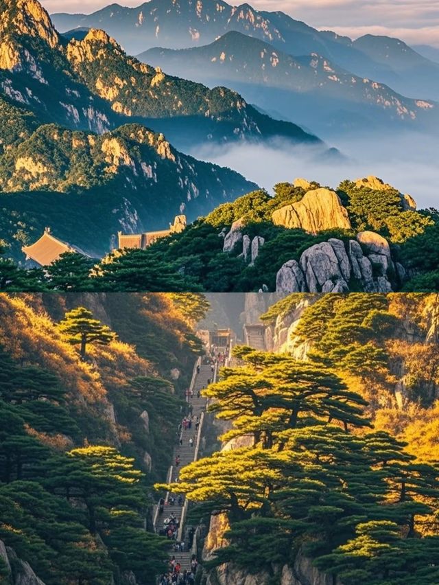剛從泰山回來，不知當講不當講