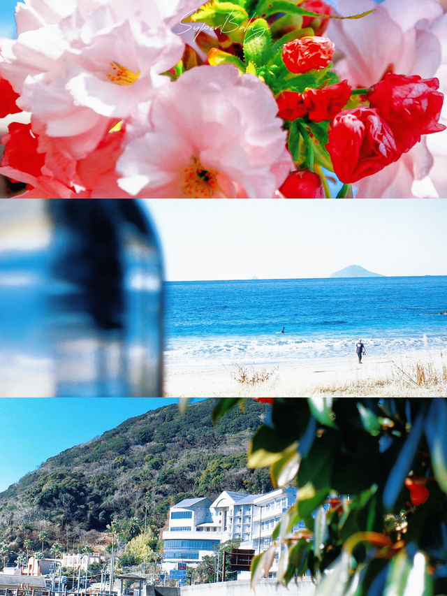 【沖繩】渡名喜島村落櫻花攻略：在離島的粉色夢境中漫步✨