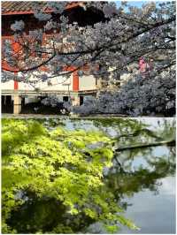 五一玩樂指南 | 4 個高鐵直達的寶藏城市