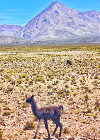 My 233 Trip: One-Day Tour Around Uyuni, Bolivia