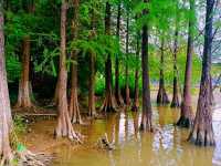 Haizhu Lake Park: An Urban Oasis in Guangzhou