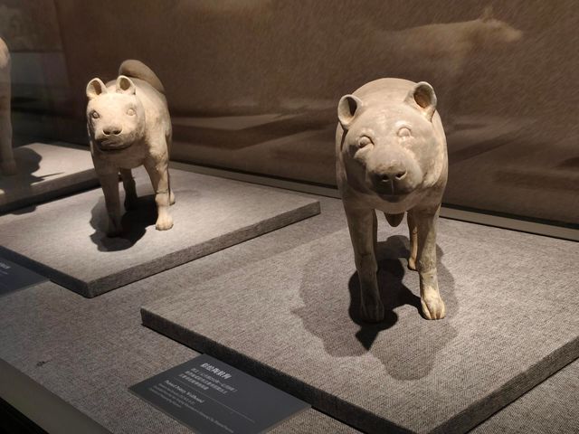 反向旅遊——四五月商洛金絲峽遊大學生攻略