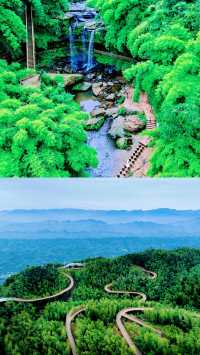 《十里埋伏》蜀南竹海